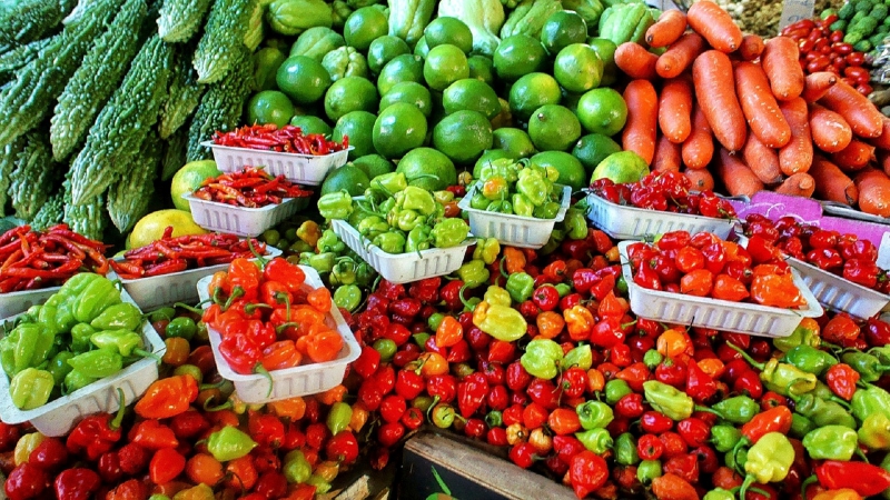 primeur-ST RAPHAEL-min_farmers-market-1329008