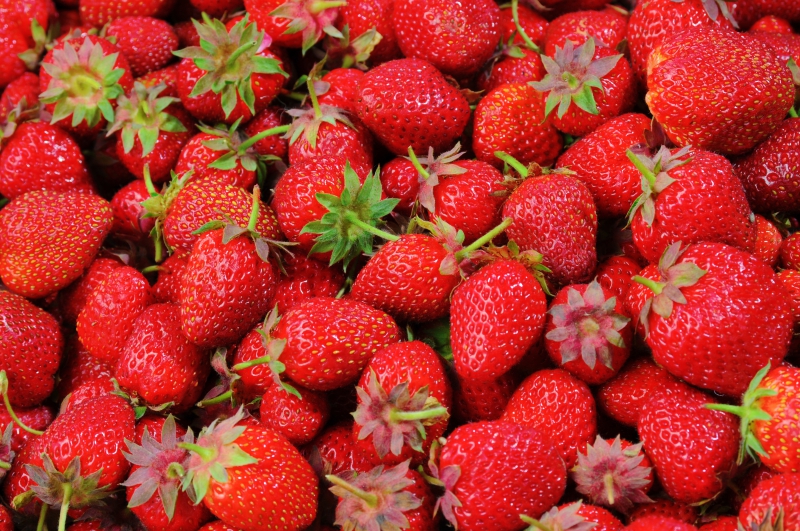 primeur-ST RAPHAEL-min_strawberries-528791